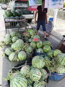 郴州网红吃瓜事件视频,一场网络狂欢背后的真相揭秘