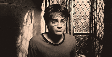 朝阳吃瓜群众今日吃瓜新闻